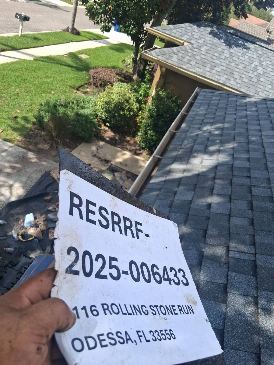 shingle roof replacement in Odessa, Florida
