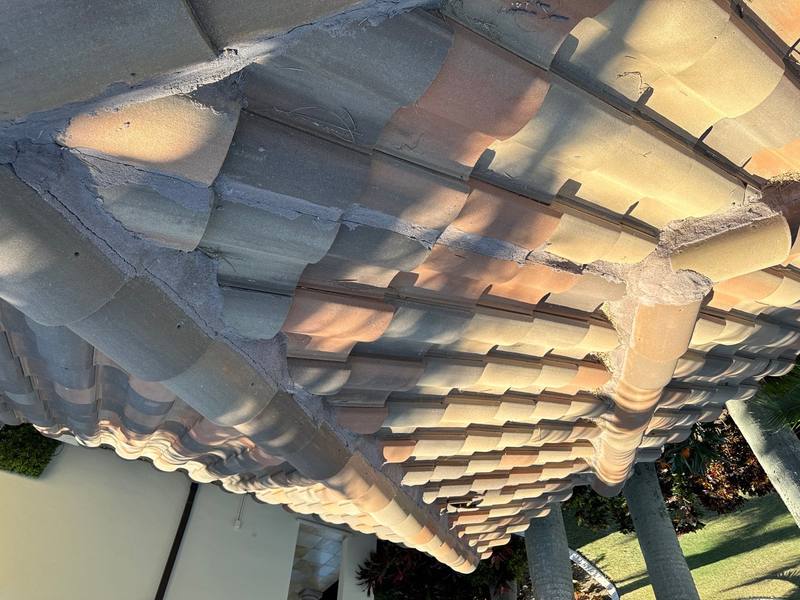 roof replacement in Apollo Beach, Florida