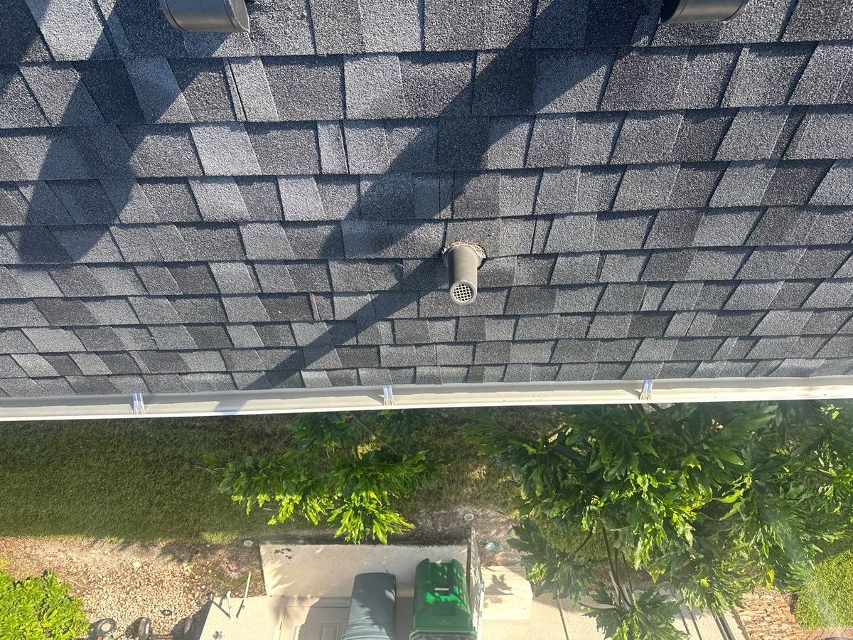 shingle roof replacement in Wesley Chapel, Florida