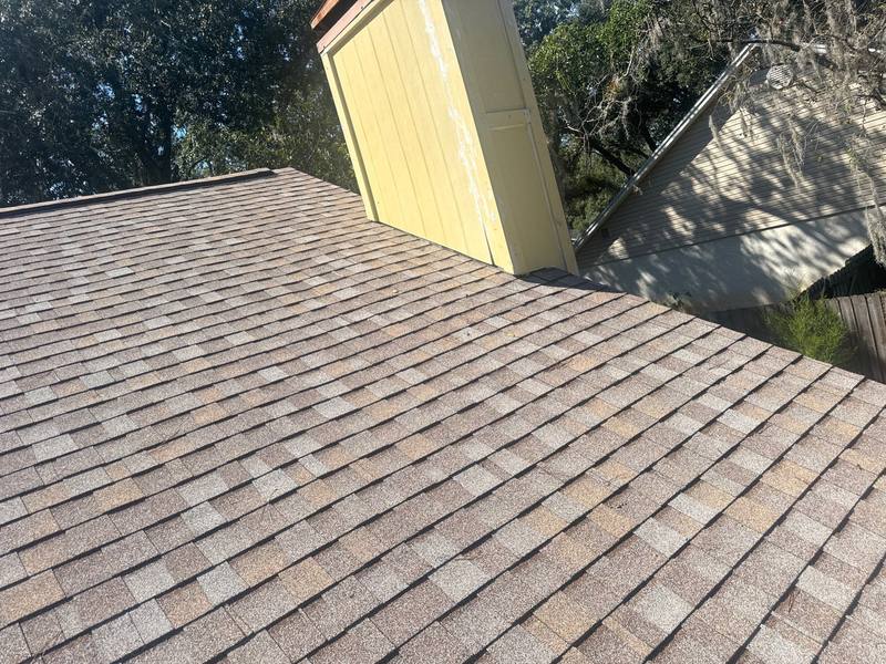 roof replacement in Tampa, Florida