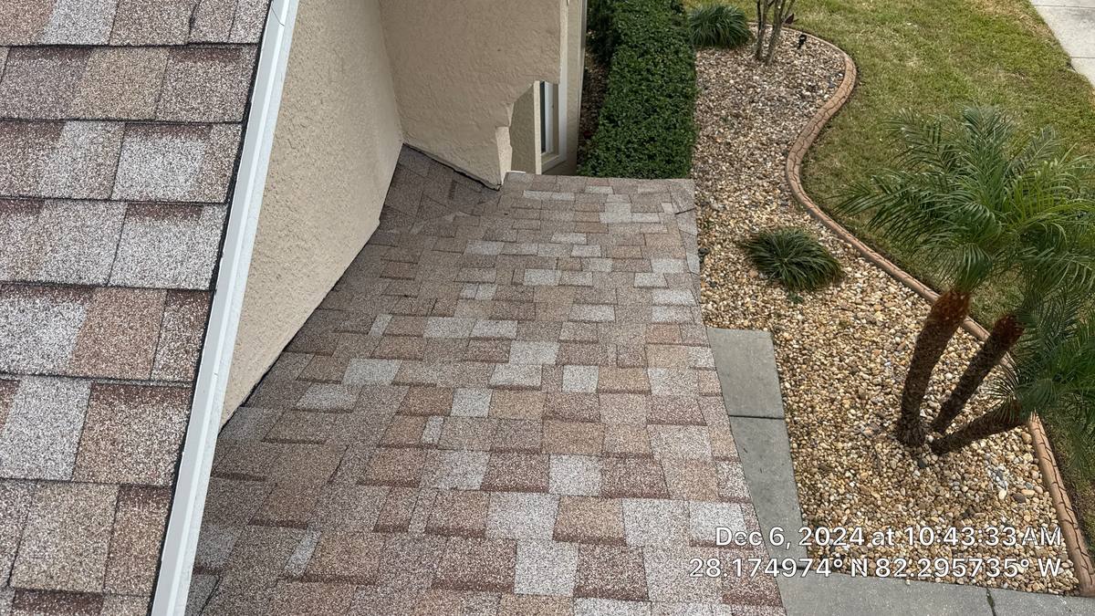 shingle roof replacement in Wesley Chapel, Florida