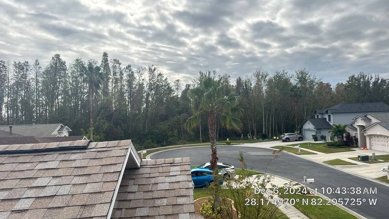 residential shingle roof replacement by Hloska Roofing in Wesley Chapel