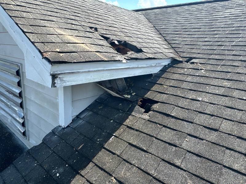 roofing project near Piney Lane Dr in Citrus Park
