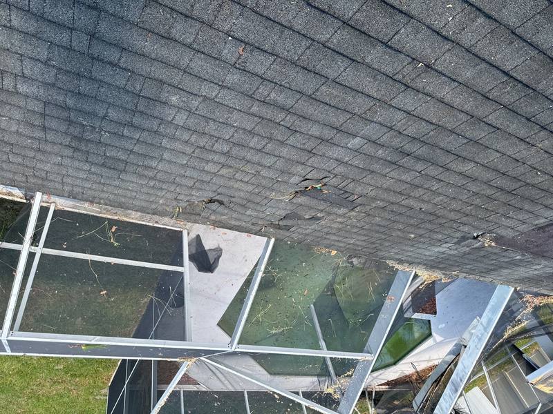 residential shingle roof replacement by Hloska Roofing in Citrus Park