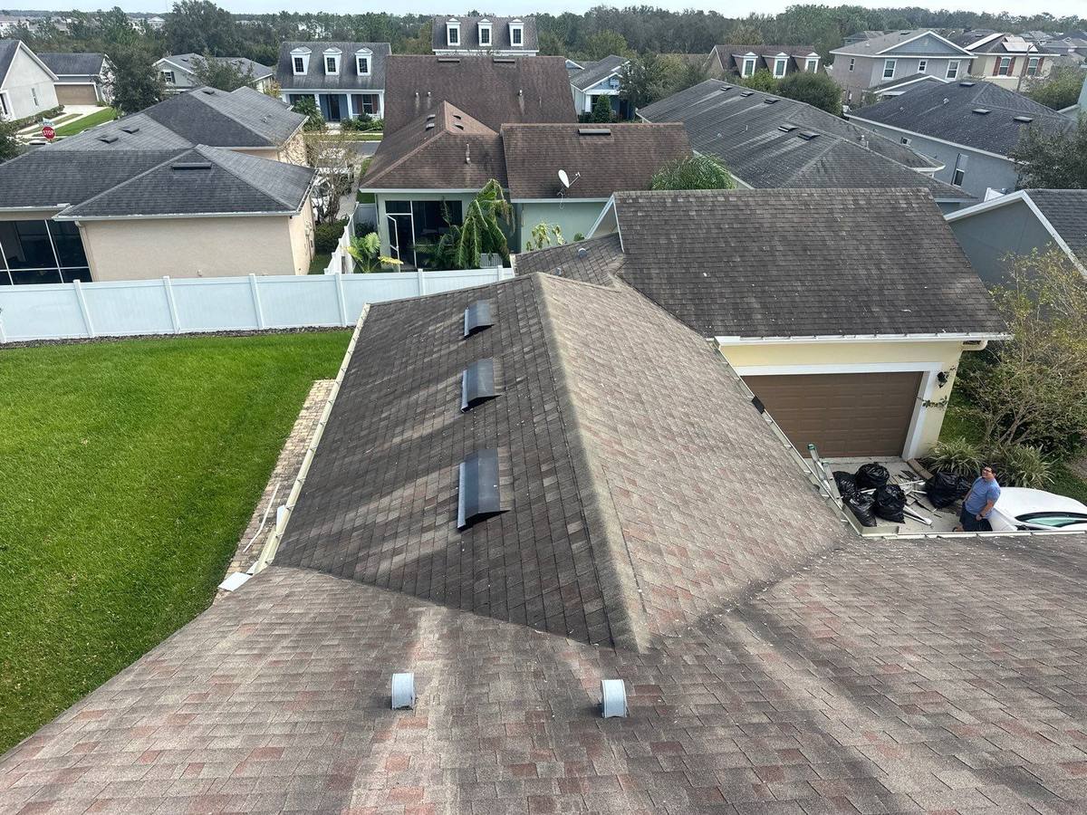 shingle roof replacement in Wesley Chapel, Florida