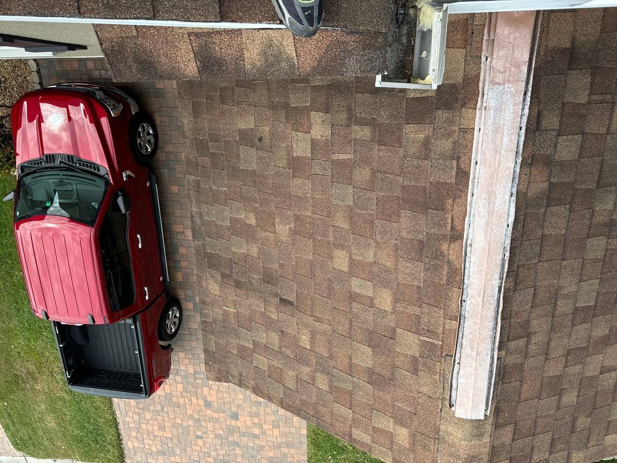 roof repair in Tampa, Florida