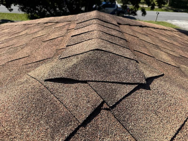 residential shingle roof replacement by Hloska Roofing in Spring Hill