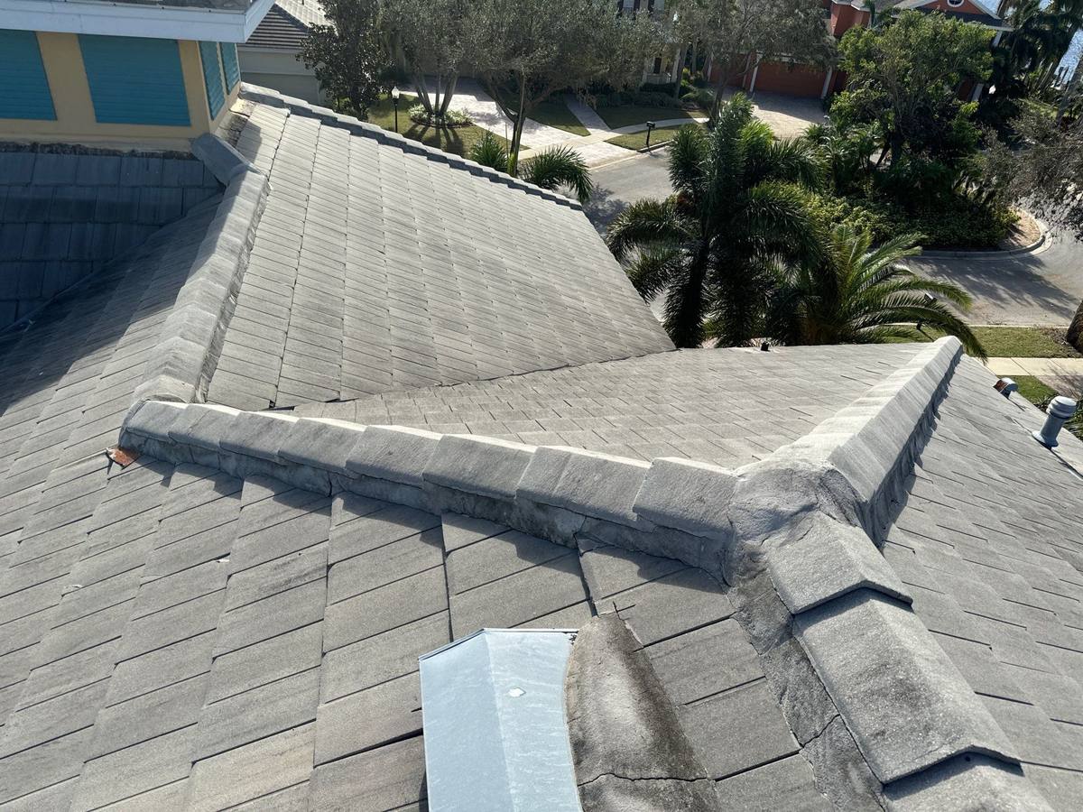 roof repair in Apollo Beach, Florida