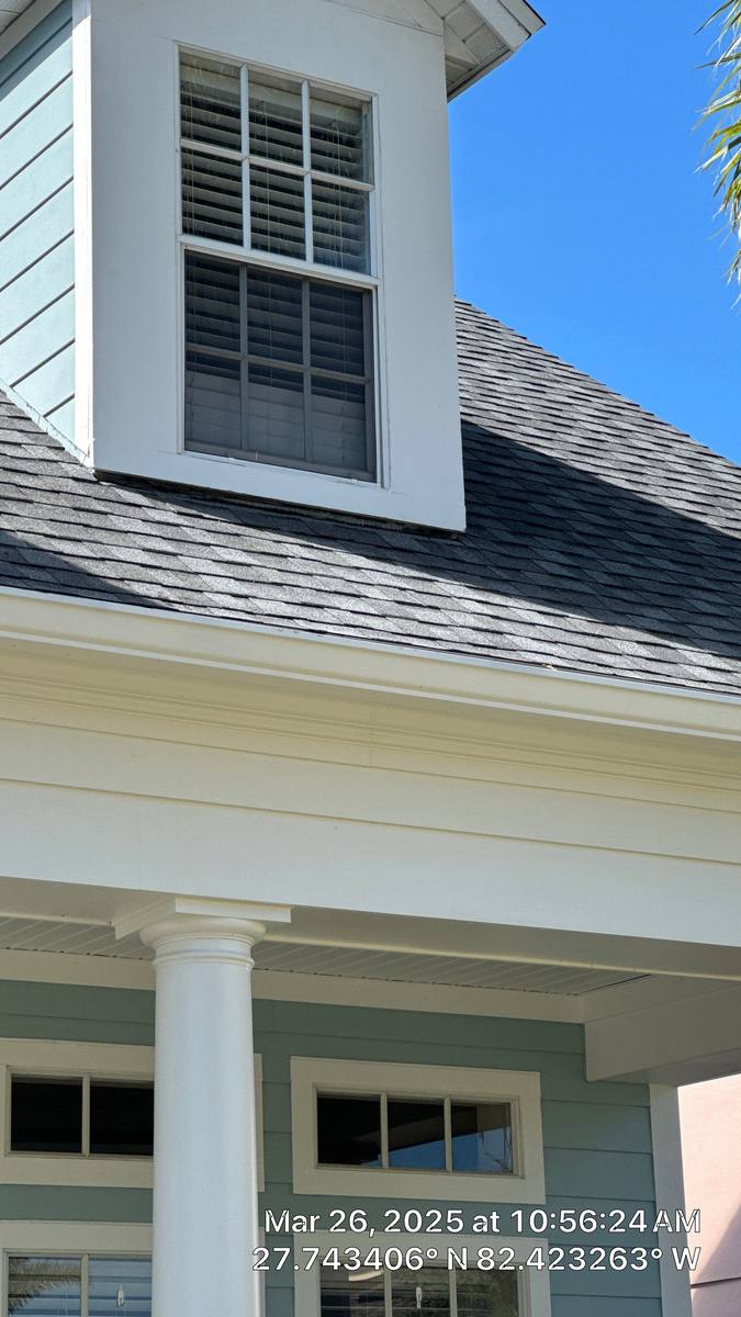 shingle roof replacement in Apollo Beach, Florida