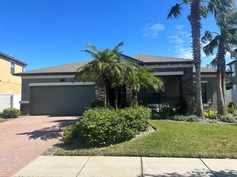 shingle roof replacement in Trinity, Florida