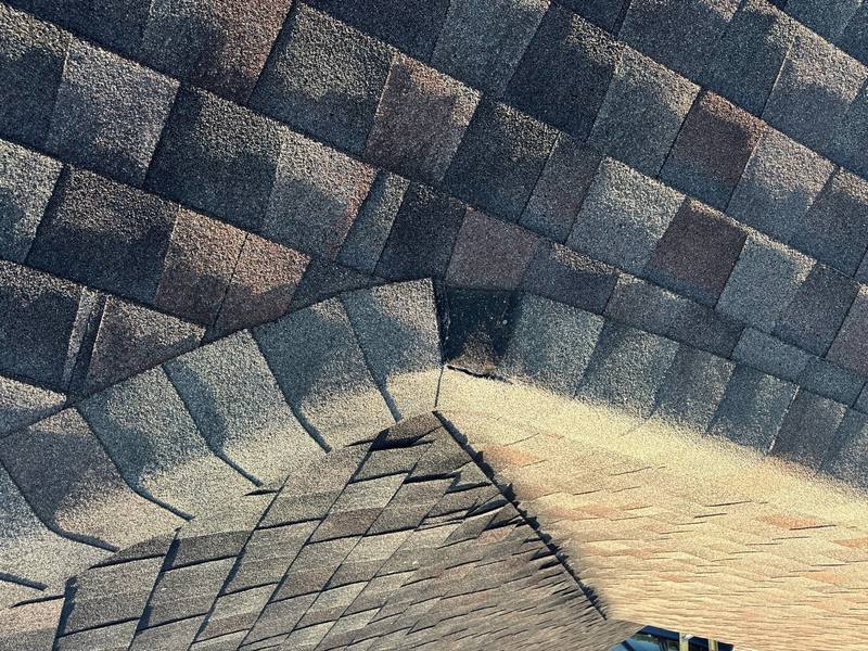 roofing project near Lago Vista Circle in Land O Lakes