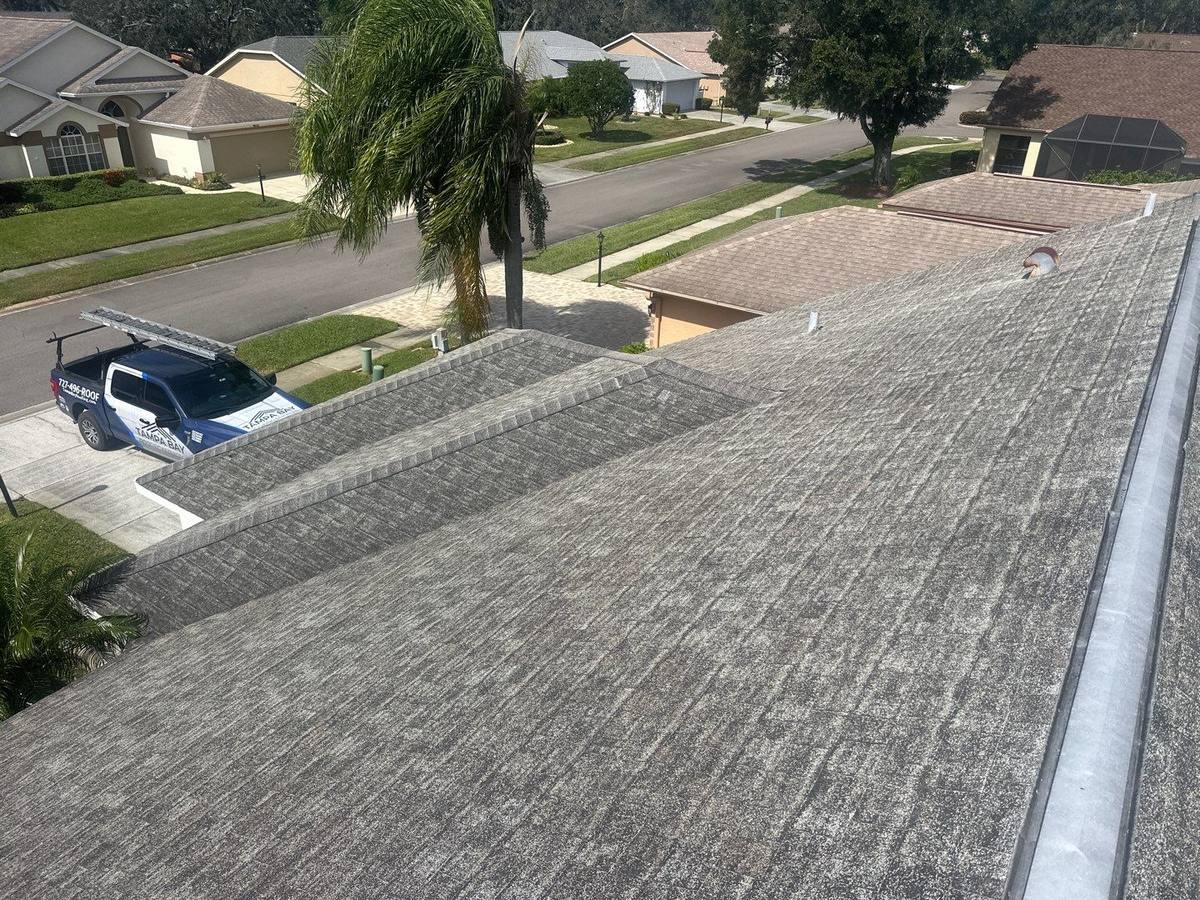 shingle roof replacement in New Port Richey, Florida