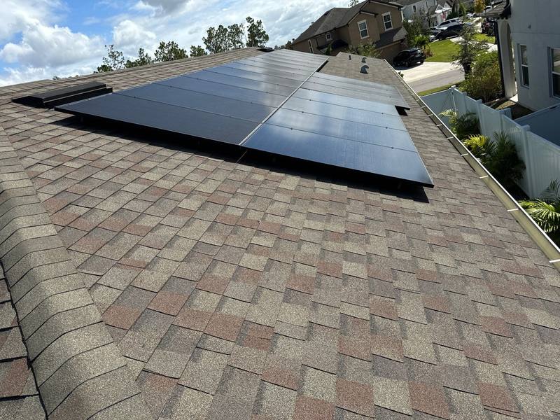 shingle roof replacement in Wesley Chapel, Florida