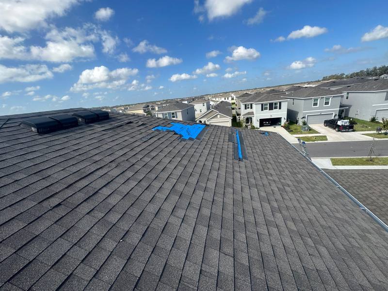 residential shingle roof replacement by Hloska Roofing in Wesley Chapel