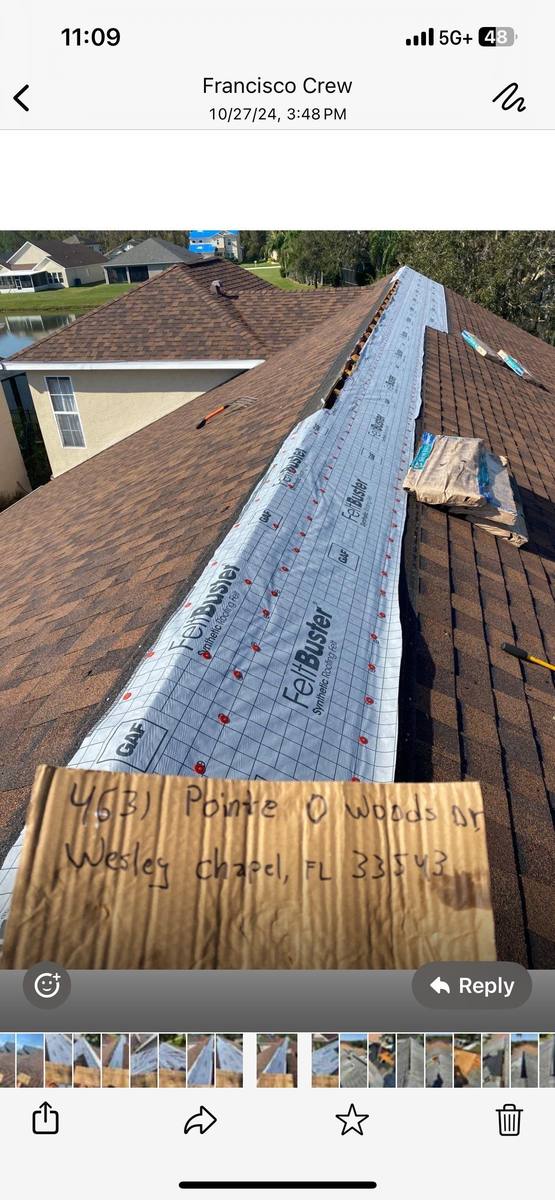 shingle roof replacement in Wesley Chapel, Florida