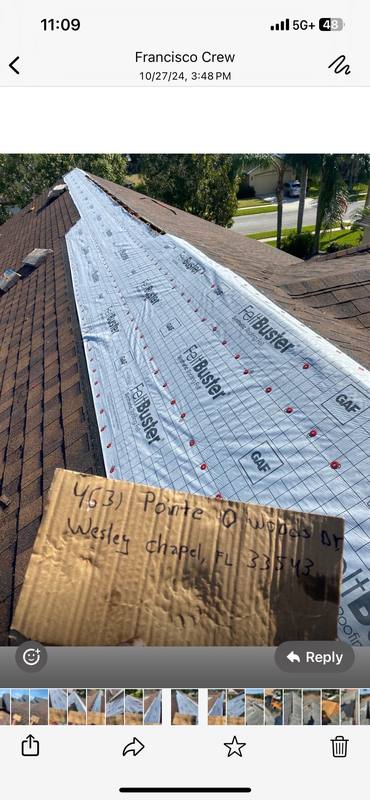 roofing project near Pointe O' Woods Dr in Wesley Chapel