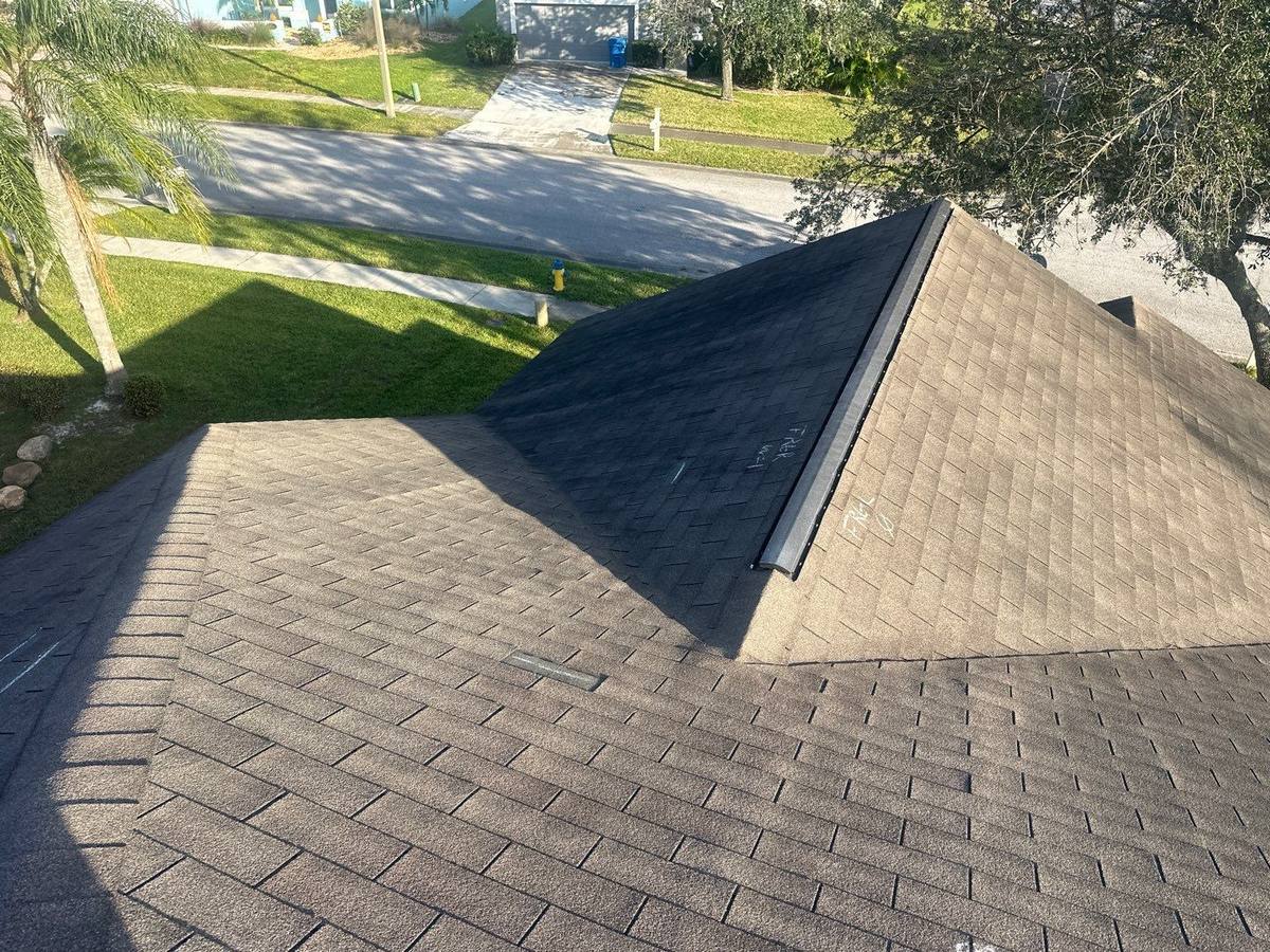 shingle roof replacement in Wesley Chapel, Florida