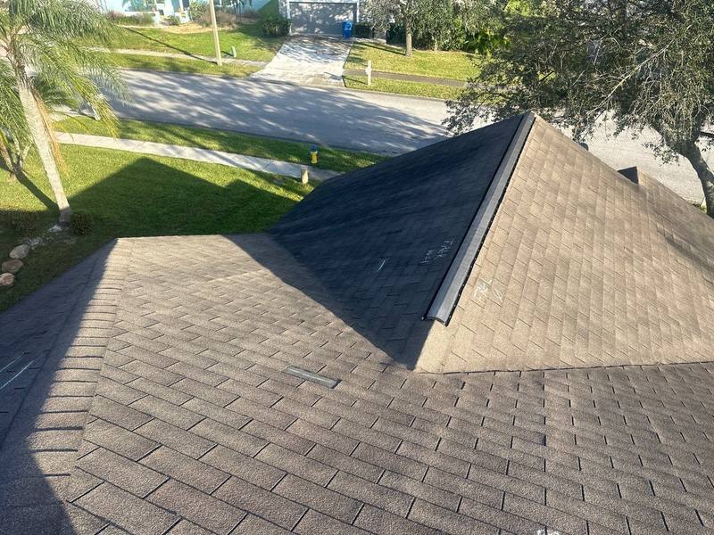 residential shingle roof replacement by Hloska Roofing in Wesley Chapel