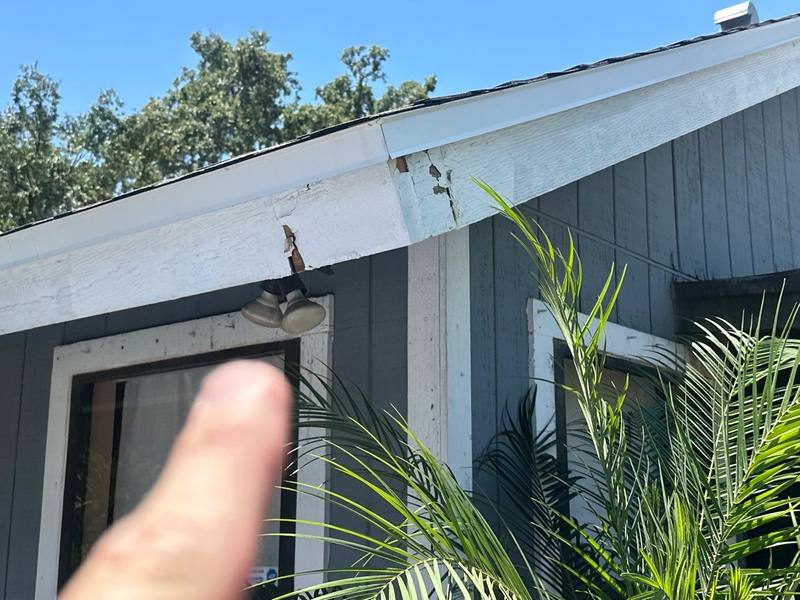 residential shingle roof replacement by Hloska Roofing in Tampa
