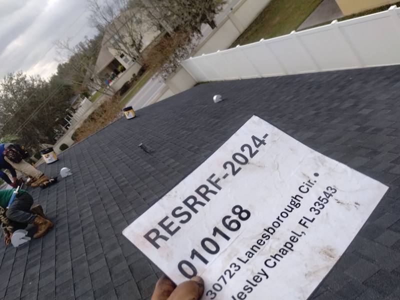residential shingle roof replacement by Hloska Roofing in Wesley Chapel
