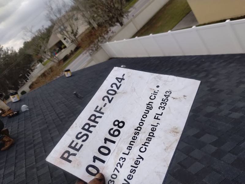 shingle roof replacement in Wesley Chapel, Florida
