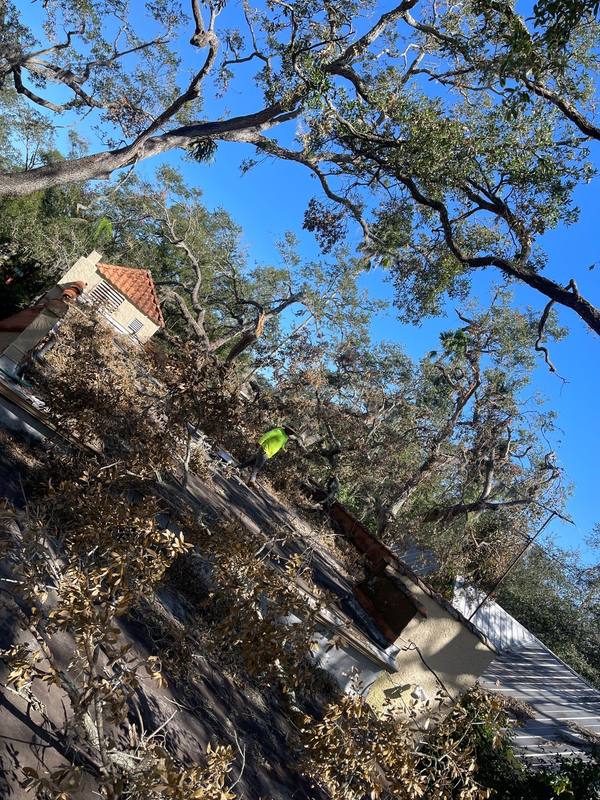 residential roof replacement by Hloska Roofing in St. Petersburg