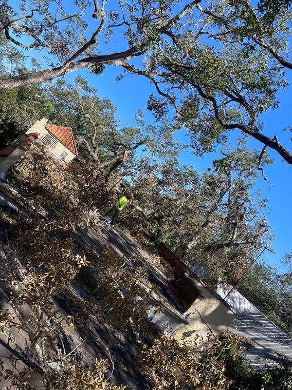 residential roof replacement by Hloska Roofing in St. Petersburg