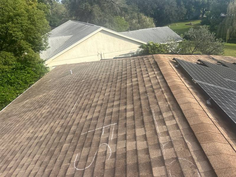shingle roof replacement in Hudson, Florida