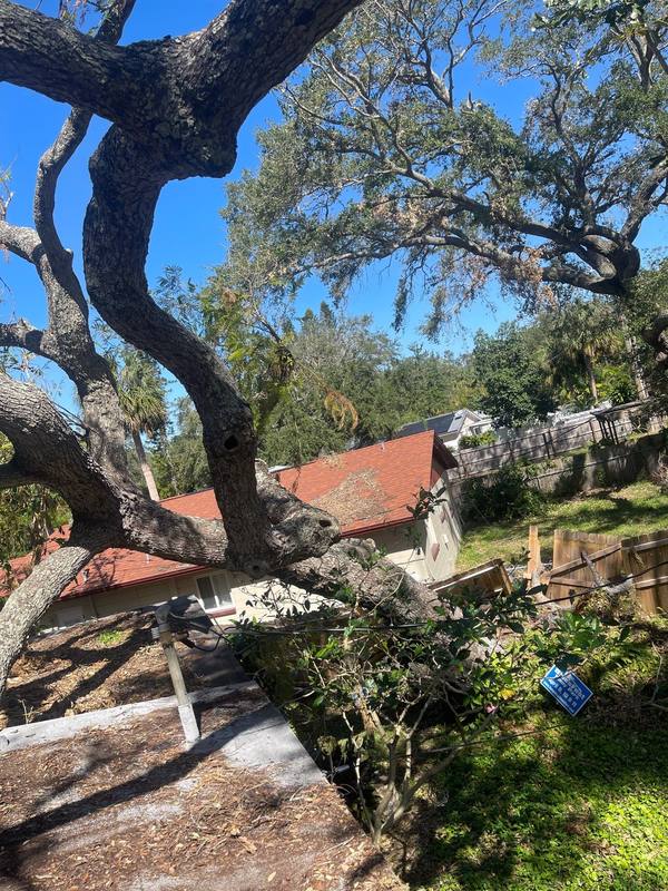 roof replacement in St. Petersburg, Florida