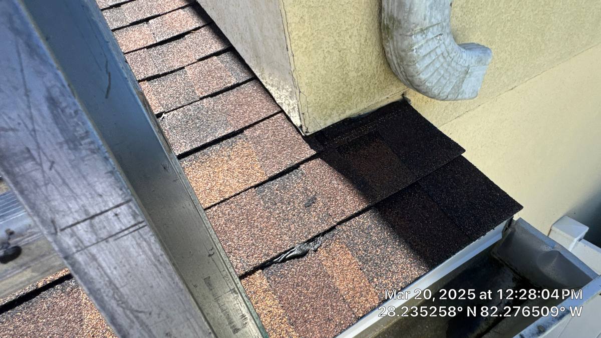 shingle roof replacement in Wesley Chapel, Florida