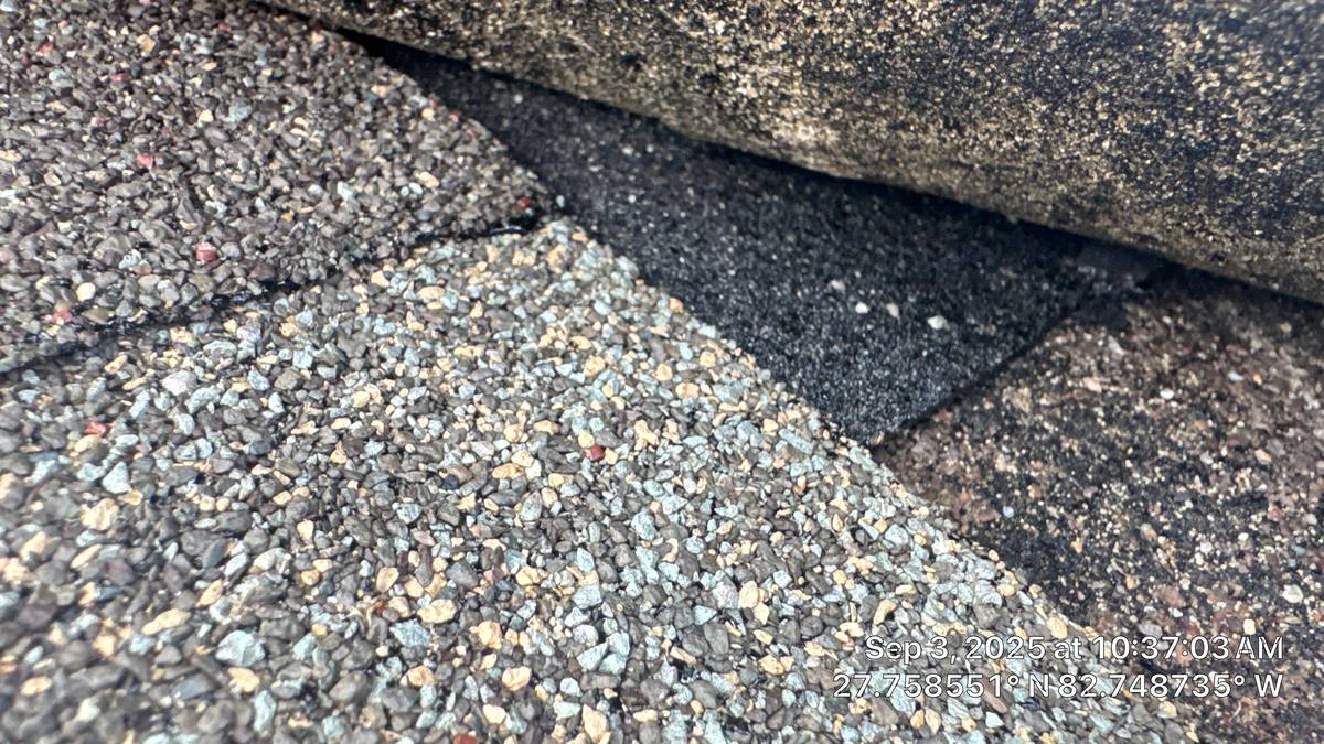 shingle roof replacement in St. Petersburg, Florida
