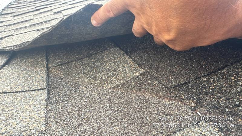 residential shingle roof replacement by Hloska Roofing in St. Pete