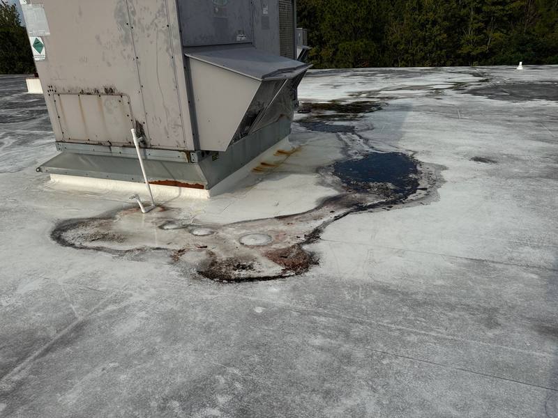 roofing project near Commercial Way in Wesley Chapel