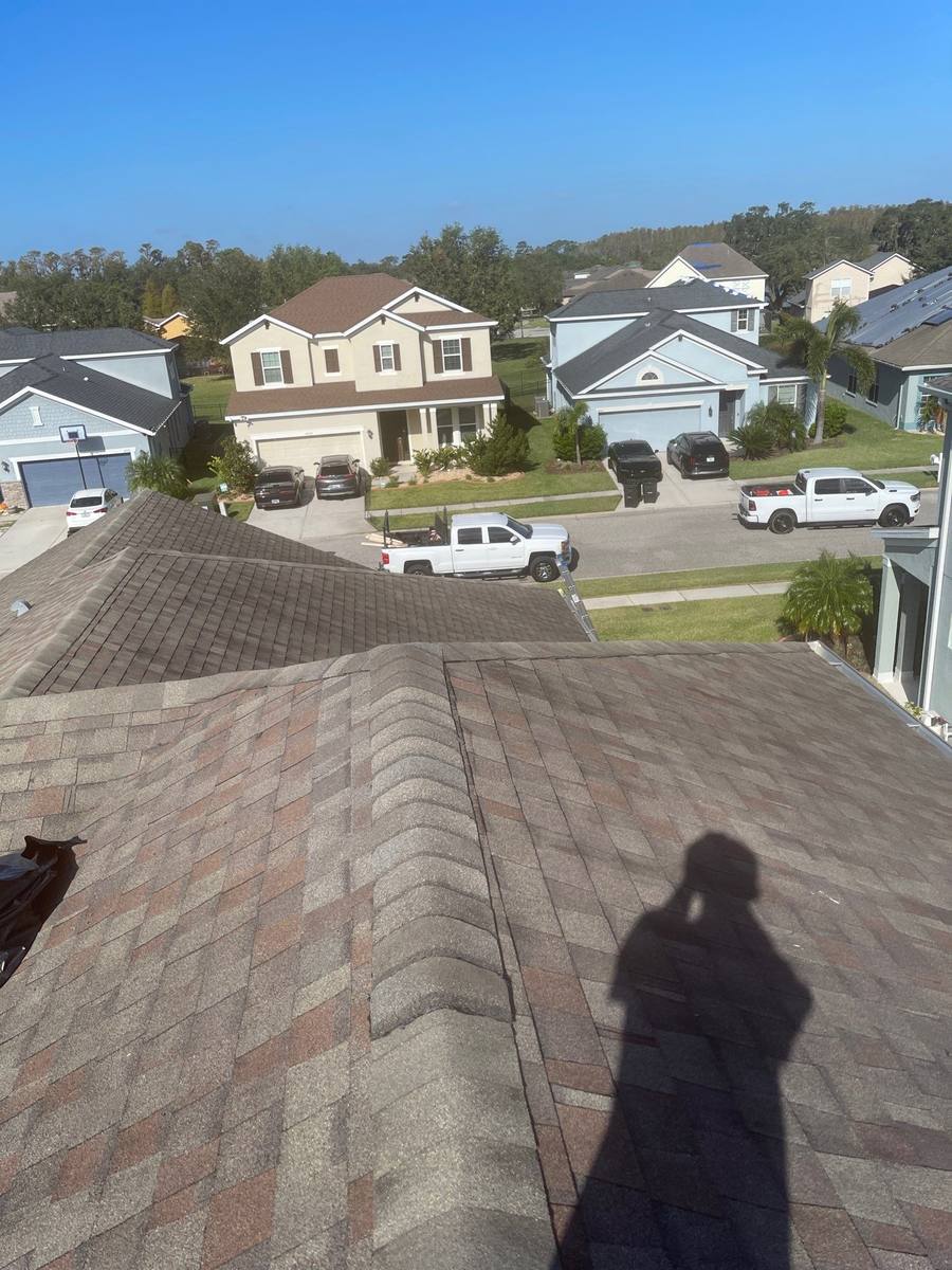roof replacement in Wesley Chapel, Florida