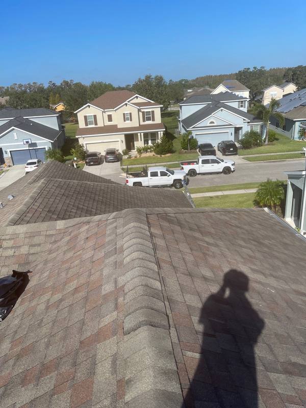 completed roofing project in Wesley Chapel FL