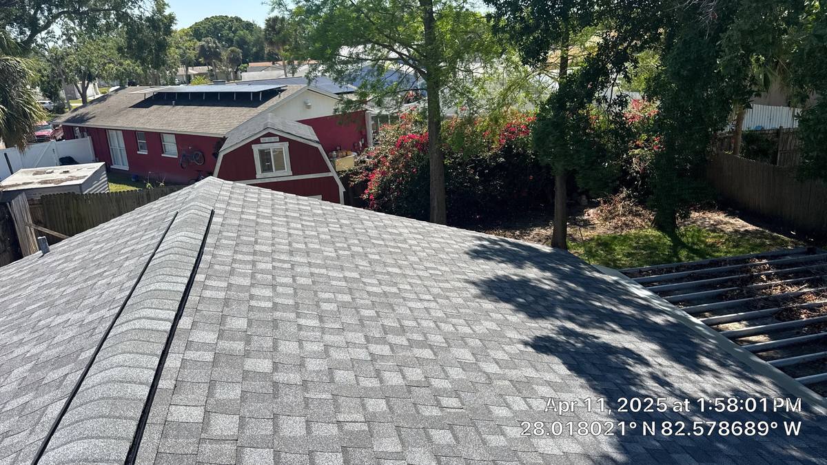shingle roof replacement in Tampa, Florida