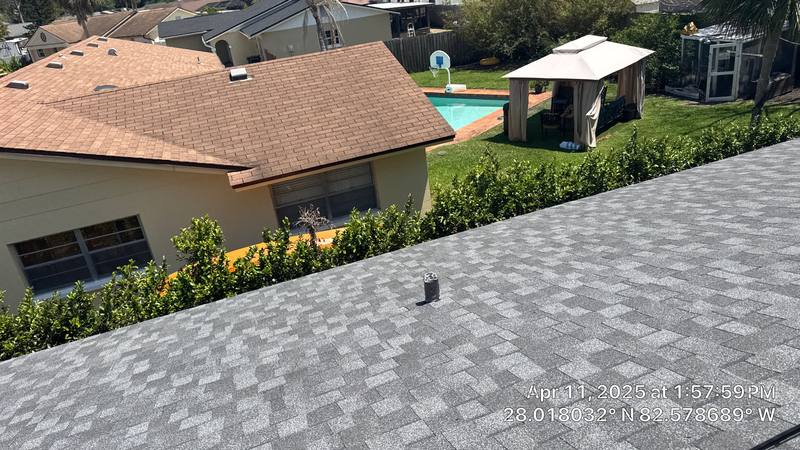 residential shingle roof replacement by Hloska Roofing in Tampa