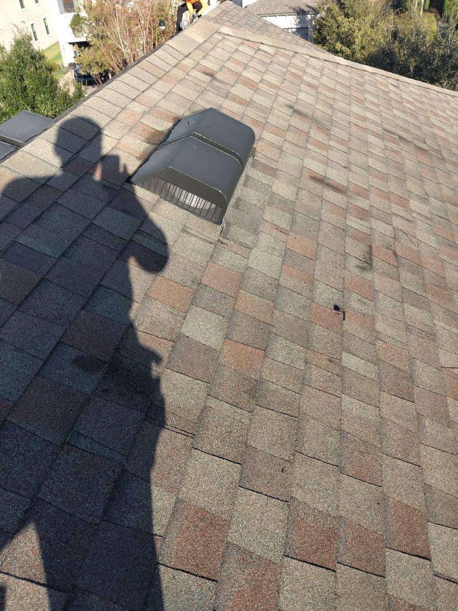 shingle roof replacement in Odessa, Florida