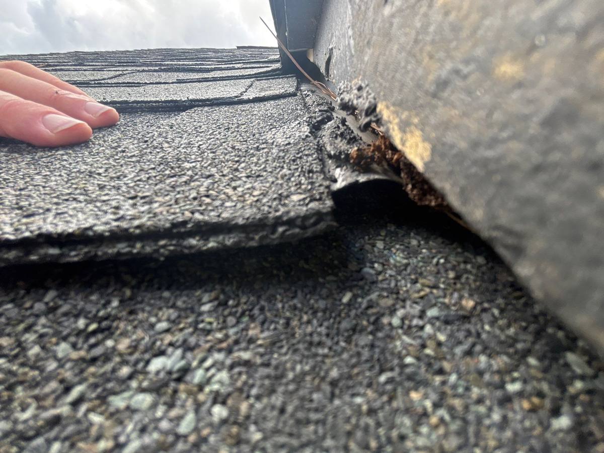 roof repair in Odessa, Florida
