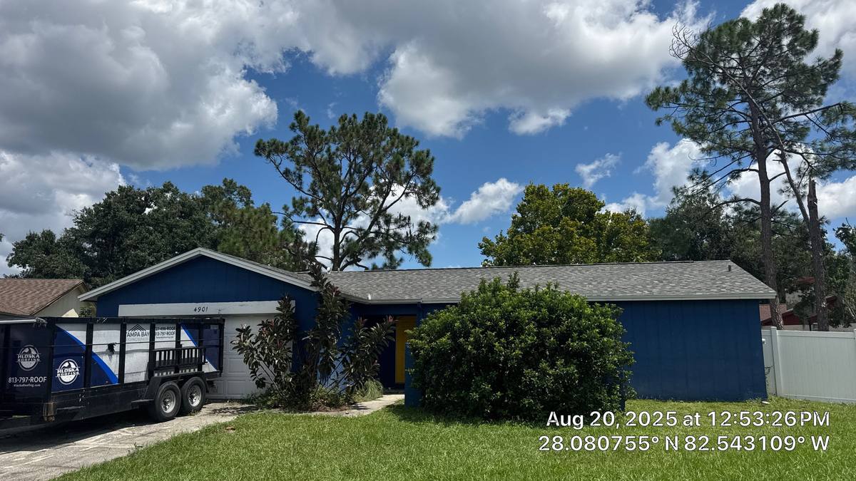 shingle roof replacement in Tampa, Florida