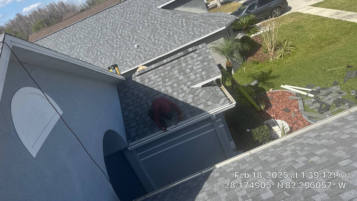 shingle roof replacement in Wesley Chapel, Florida