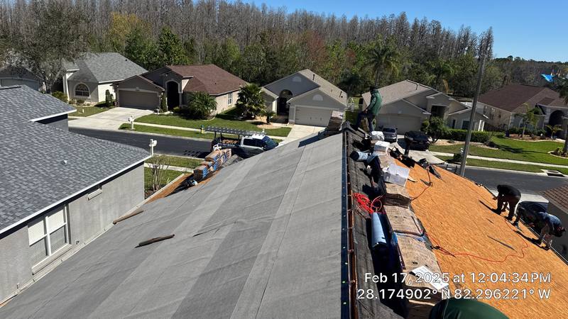 roofing project near Katahdin Ct. in Wesley Chapel