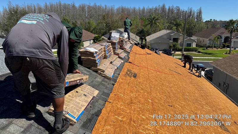 shingle roof replacement in Wesley Chapel, Florida