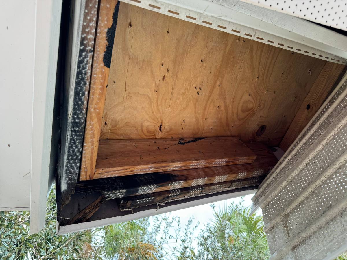 roof replacement in Tampa, Florida