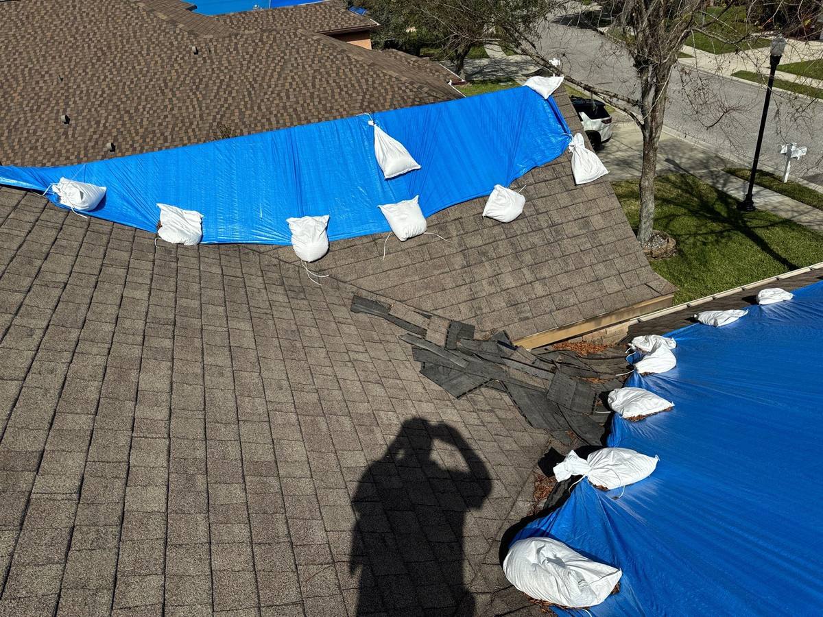 shingle roof replacement in Wesley Chapel, Florida