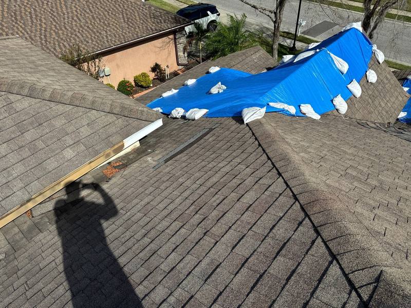 roofing project near Diamonds Palm Loop in Wesley Chapel