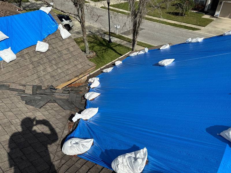 roofing project near Diamonds Palm Loop in Wesley Chapel