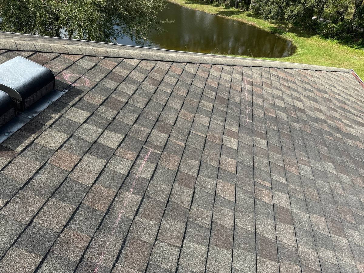 shingle roof replacement in Wesley Chapel, Florida