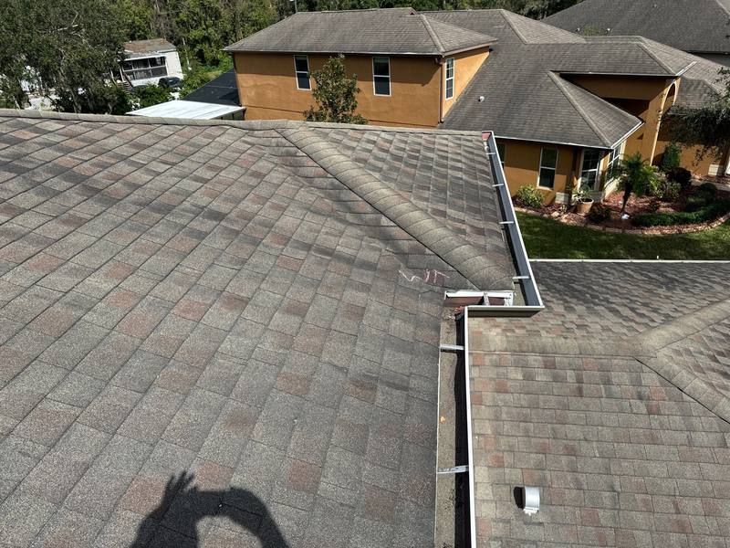 shingle roof replacement in Wesley Chapel, Florida