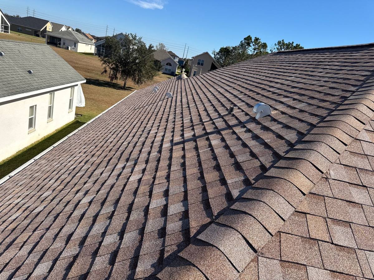 shingle roof replacement in Wesley Chapel, Florida